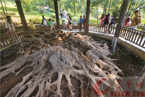 “九古奇村”上冯：舒展古韵美 笑迎四方客