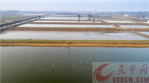从“水经济”到“绿经济”　一个边界村庄的生意经
